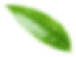 slider8-1