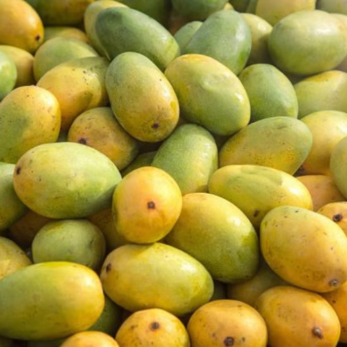 Savour the flavours: Mango and jackfruit mela begins amid low yield worries 
