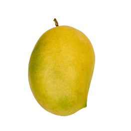 Payari Mango
