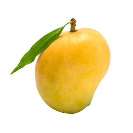 Kesar Mango
