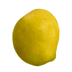 Payari Mango