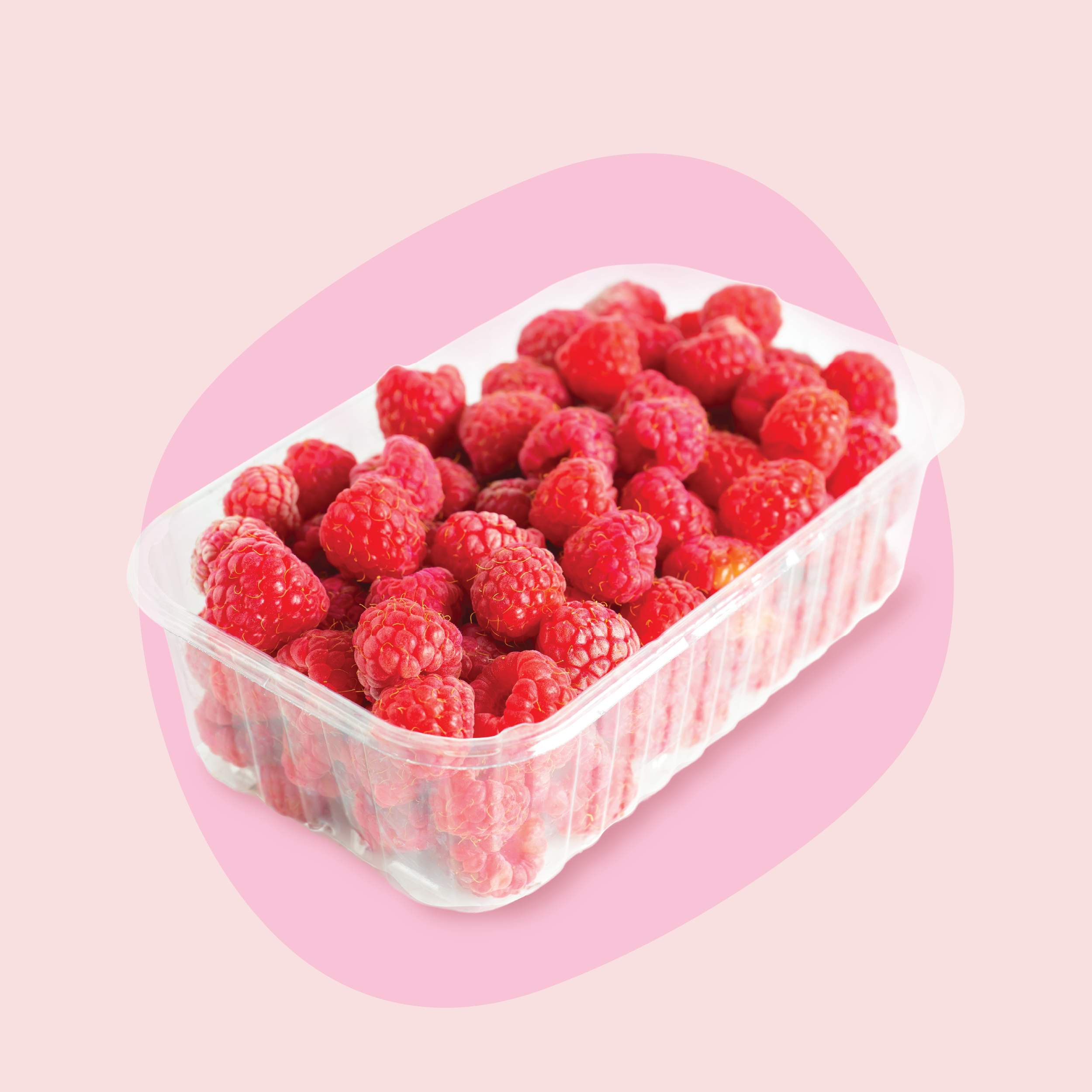 Raspberry-21 Raspberry-21